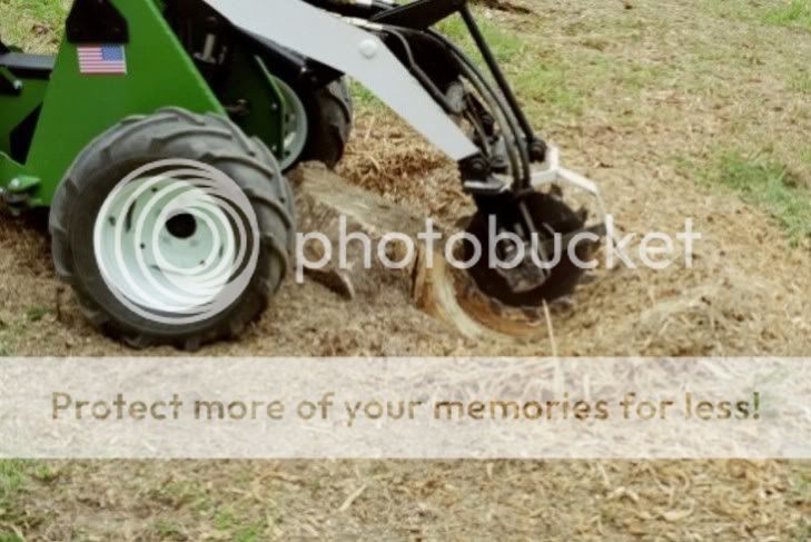 Stump_Grinder_TBN_a_.jpg